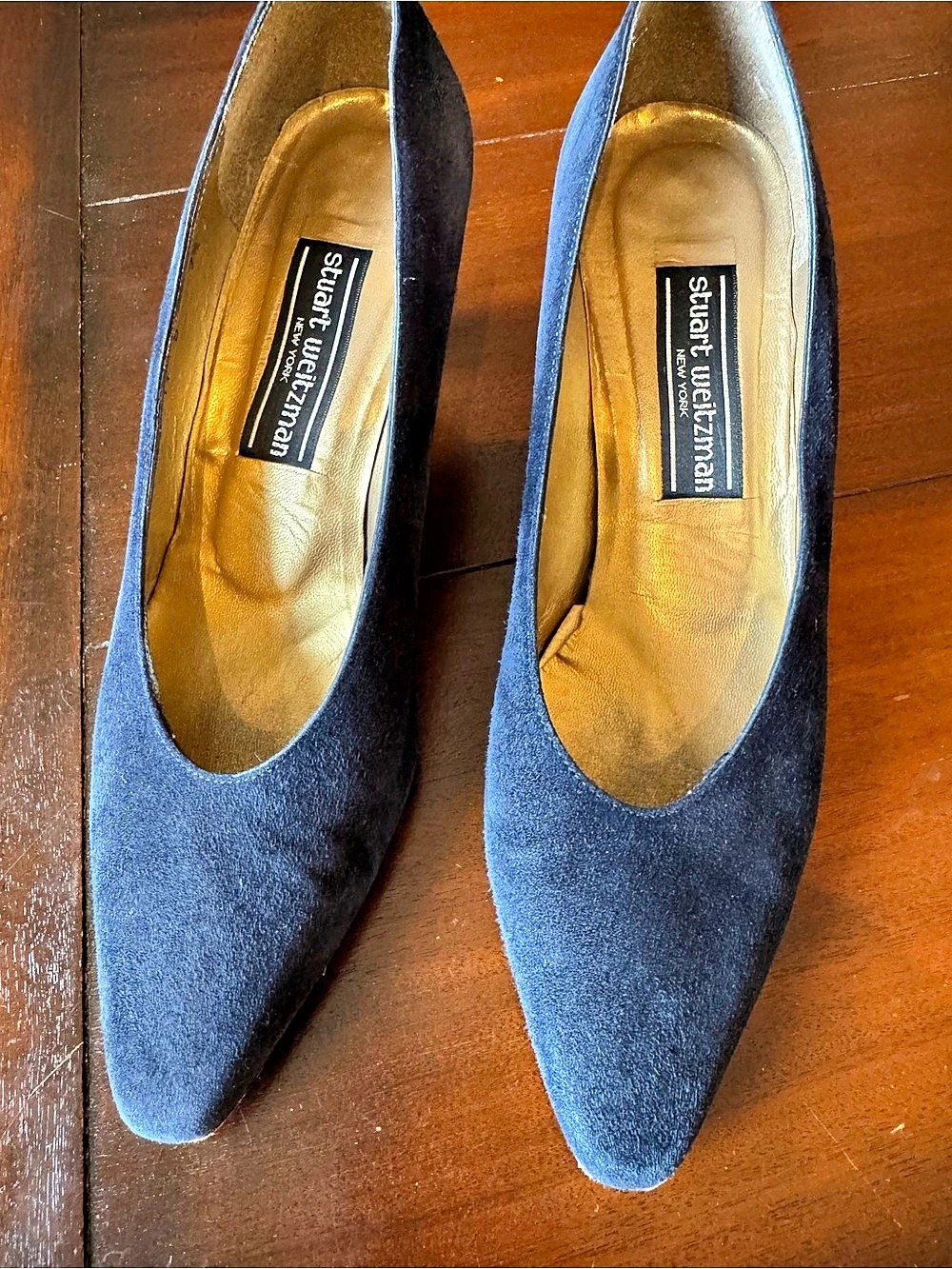 Stuart Weitzman Pointed Toe Heels in Blue